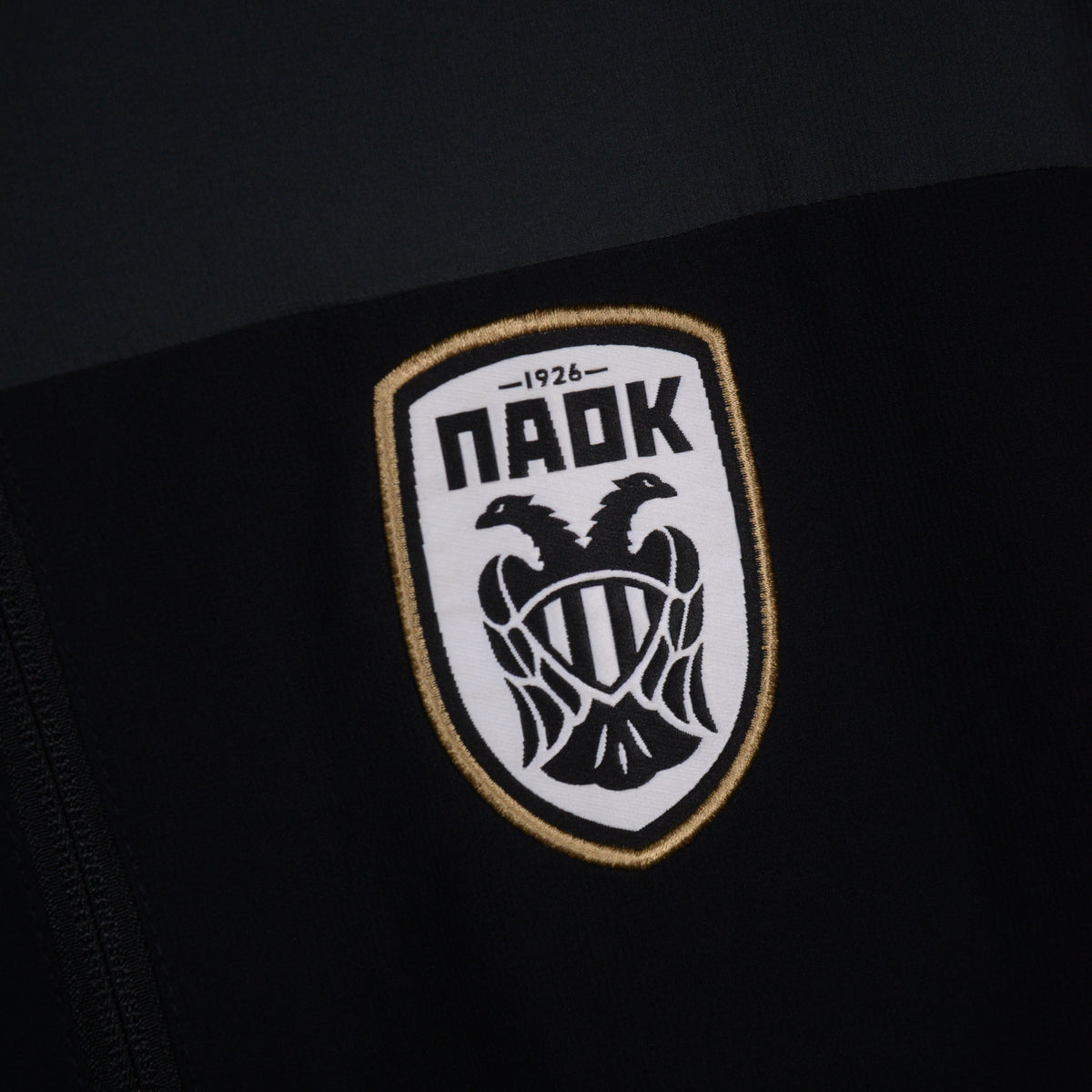 2014-2015 PAOK Nike Jacket