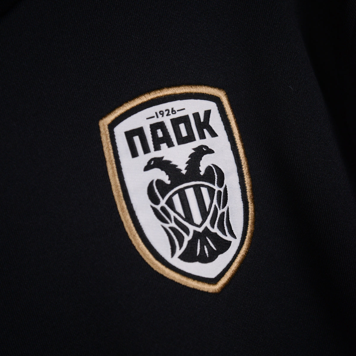 2013-2014 PAOK Nike Training Top