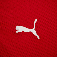2008-2010 Switzerland Puma Home Shirt