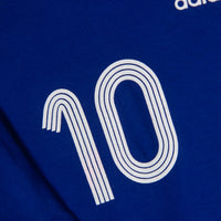 2007 Japan Reversible Adidas Training Shirt #10/#1