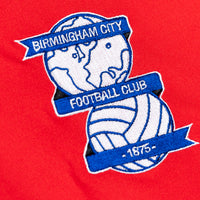 2010-2011 Birmingham Xtep Long Sleeve BNWT Third Shirt