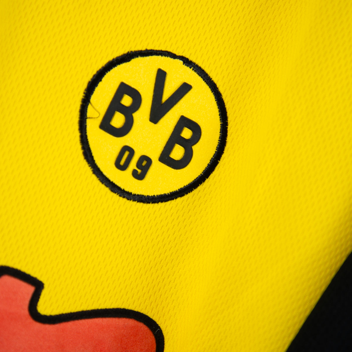 2001-2002 Borussia Dortmund Gool Home #22 Marcio Amoroso BNWT